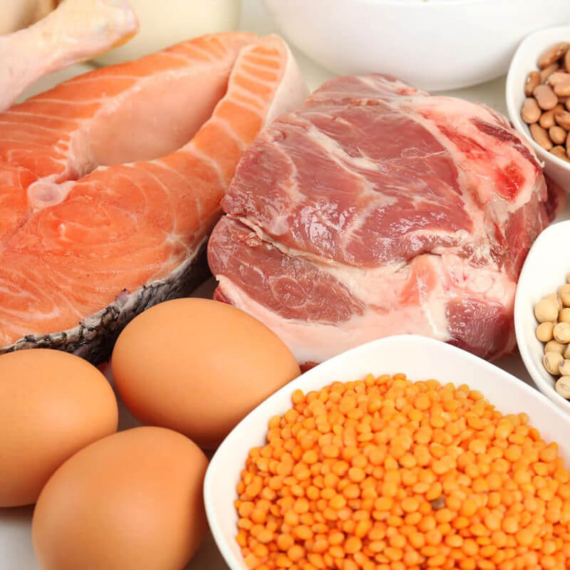 Afinal, o que é a proteína? - artigo do blog NOSSO BLOG da BOLD Snacks